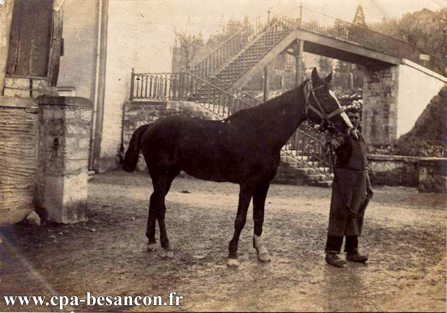 BESANÇON - Rue des Docks - Laitue et Magnin - v. 1902